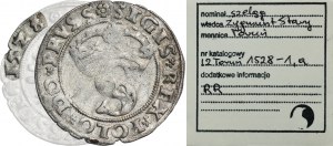 Zygmunt I Stary, Szeląg Toruń 1528 - RZADKI, ex. Marzęta
