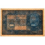 100 marek 1919 - IJ Serja E -