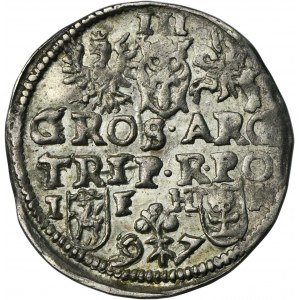 Žigmund III Vaza, Trojak Poznaň 1597 - dátum oddelený kvetom - ex. Marzęta