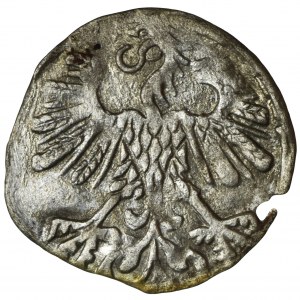 Sigismund II Augustus, Vilnius Denarius 1559
