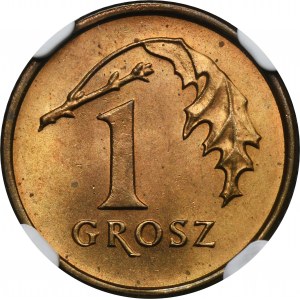 1 grosz 1992 - NGC MS66