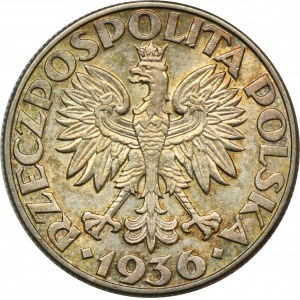 Plachetnica, 5 zlatých 1936