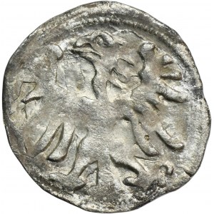 Alexander Jagiellon, Denarius Vilnius no date