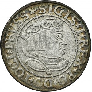 Sigismund I the Old, Groschen Thorn 1533 - PRVSS / PRVSSIE