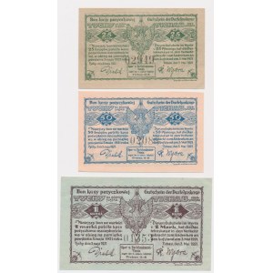 Tichau (Tychy), 25-50 fenig set, 1 mark 1921 (3 pieces).