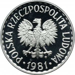 1 złoty 1981