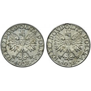 Set, 50 pennies 1938 (2 pieces).