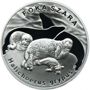 20 złotych 2007 Foka Szara