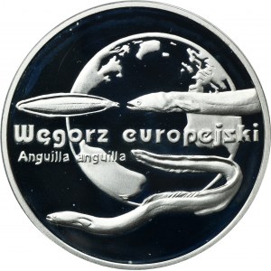 20 złotych 2003 Węgorz europejski
