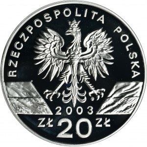 20 Zlato 2003 Úhoř evropský
