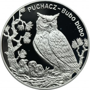 20 złotych 2005 Puchacz