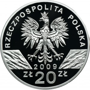 20 złotych 2009 Jaszczurka Zielona