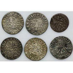 Set, Sigismund I the Old, Sigismund II Augustus, Schilling (6 pcs)