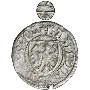 Kazimierz IV Jagiellończyk, Szeląg Gdańsk bez daty - RZADKI, orzeł bez korony