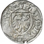 Casimir IV Jagiellon, Schilling Danzig undated - RARE, eagle without crown
