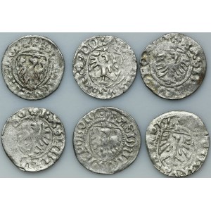 Set, Casimir IV Jagiellon, Schilling Danzig undated (6 pcs.)