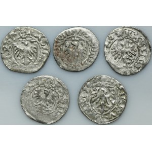 Set, Casimir IV Jagiellon, Schilling Danzig undated (5 pcs.)