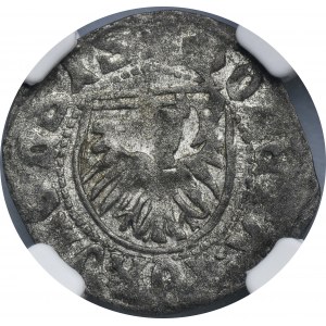 Casimir IV Jagiellon, Schillin Thorn undated - NGC AU58 - RARE, IMITATION