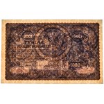 1 000 marek 1919 - III Serja AH -