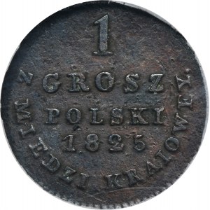 Królestwo Polskie, 1 grosz polski z MIEDZI KRAIOWEY Warszawa 1825 IB - GCN VF30