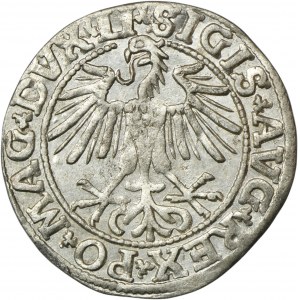 Žigmund II August, polgroš Vilnius 1550 - LI/LITVA
