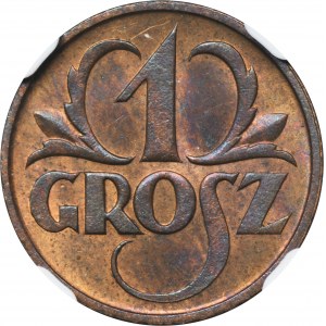 1 grosz 1925 - NGC MS63 BN