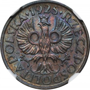 1 penny 1925 - NGC MS63 BN