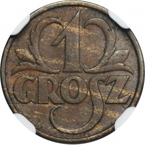 1 grosz 1928 - NGC MS62 BN