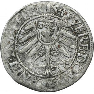 Silesia, Duchy of Liegnitz-Brieg-Wohlau, Friedrich II, Groschen Leignitz 1543