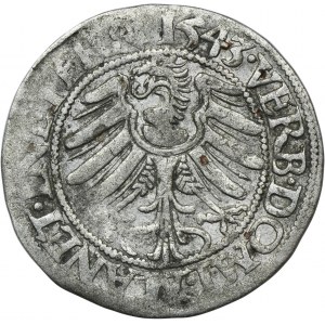 Sliezsko, Legnicko-Brzesko-Wołowskie kniežatstvo, Fridrich II, Grosz Legnica 1543