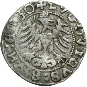 Slezsko, město Świdnica, Ludvík II Jagellonský, půlpenny 1522