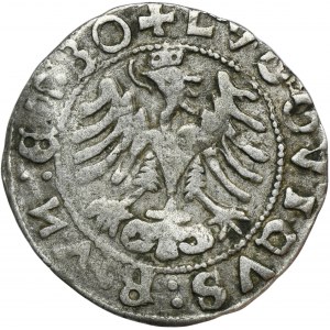 Silesia, City of Schweidnitz, Louis II of Hungary, 1/2 Groschen 1522