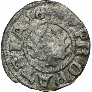 Německo, vévodství Brunšvik-Wolfenbüttel, Fridrich Ulrich, 1/24 tolaru (haléř) 1619