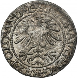 Sigismund II August, Halfgroat Vilnius 1565 - L/LITV