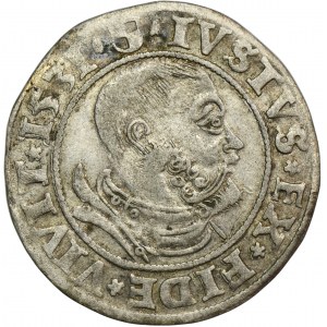 Duchy of Prussia, Albert Hohenzollern, Groschen Königsberg 1531 - PRVS