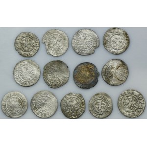 Set, Poland and Silesia, Halfgroschen Krakau and Schweidnitz (13 pcs.)