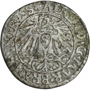 Prusy Książęce, Albrecht Hohenzollern, Grosz Królewiec 1538 - PRVSS - RZADKI