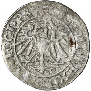 Zikmund I. Starý, groš Elbląg 1534 - PRV