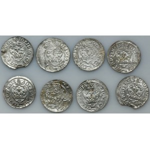 Set, Sigismund III Vasa, Schilling Riga 1621 (8 pcs.)