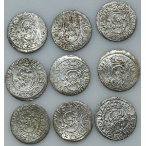 Set, Sigismund III Vasa, Schilling Riga 1621 (9 pcs.)