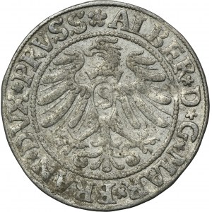 Prusy Książęce, Albrecht Hohenzollern, Grosz Królewiec 1532 - PRVSS