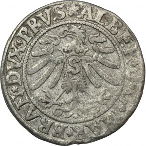 Prusy Książęce, Albrecht Hohenzollern, Grosz Królewiec 1533 - PRVS