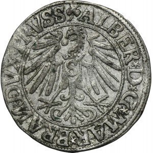 Kniežacie Prusko, Albrecht Hohenzollern, Groschen Königsberg 1544 - RARE