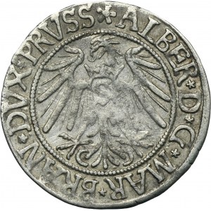Kniežacie Prusko, Albrecht Hohenzollern, Grosz Königsberg 1539 - PRVSS