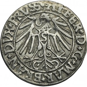 Duchy of Prussia, Albrecht Hohenzollern, Groschen Königsberg 1546
