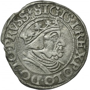 Žigmund I. Starý, Grosz Gdańsk 1538 - PRVSS