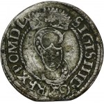 Sigismund III Vasa, Schilling Olkusz 1594 - VERY RARE