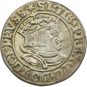 Zikmund I. Starý, Grosz Toruń 1534 - PRVSS/PRVSSIE