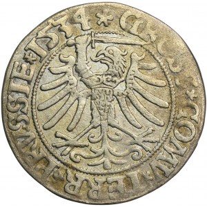 Žigmund I. Starý, Grosz Toruń 1534 - PRVSS/PRVSSIE