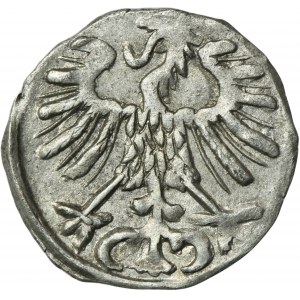 Sigismund II August, Denarius Vilnius 1557